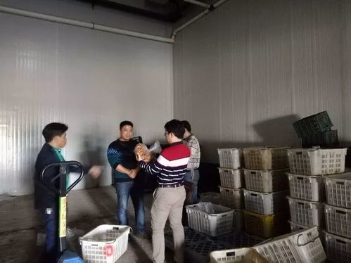 ?？谑乘幈O局靠前服務 以專業指導賦能合作社農產品深加工廠建設